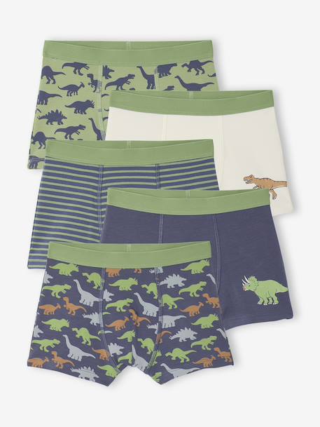 Pack of 5 Dinosaur Boxer Shorts for Boys slate blue - vertbaudet enfant 