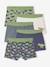 Pack of 5 Dinosaur Boxer Shorts for Boys slate blue - vertbaudet enfant 