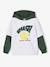 Sports Sweatshirt with Double Sleeves, Ball in Relief, for Boys fir green+marl white - vertbaudet enfant 
