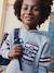 Hooded Sweatshirt with Print on the Front for Boys marl grey - vertbaudet enfant 