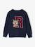 Jacquard Jumper for Boys navy blue - vertbaudet enfant 