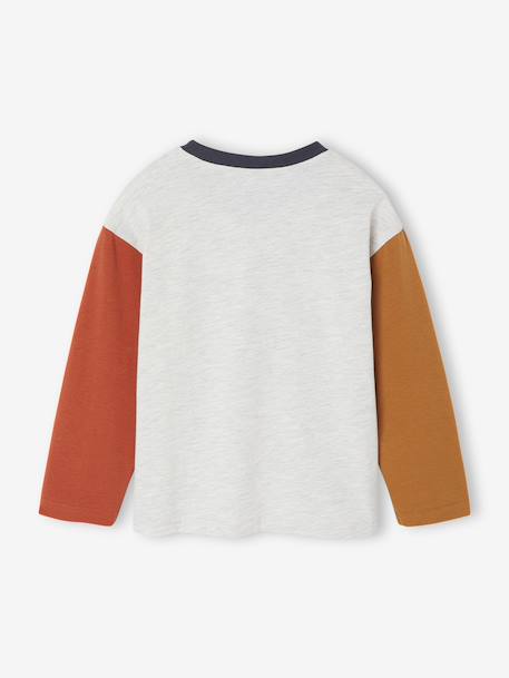 Long-Sleeved Colourblock T-Shirt for Boys multicoloured - vertbaudet enfant 