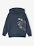 Hooded Sweatshirt with Skate Print anthracite - vertbaudet enfant 