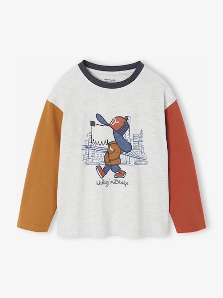 Long-Sleeved Colourblock T-Shirt for Boys multicoloured - vertbaudet enfant 