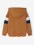 Hooded Sweatshirt with Print lichen+pecan nut - vertbaudet enfant 