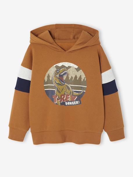 Hooded Sweatshirt with Print lichen+pecan nut - vertbaudet enfant 