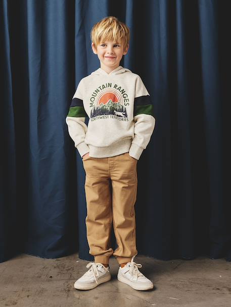 Hooded Sweatshirt with Print marl white+navy blue+pecan nut+sage green+white - vertbaudet enfant 