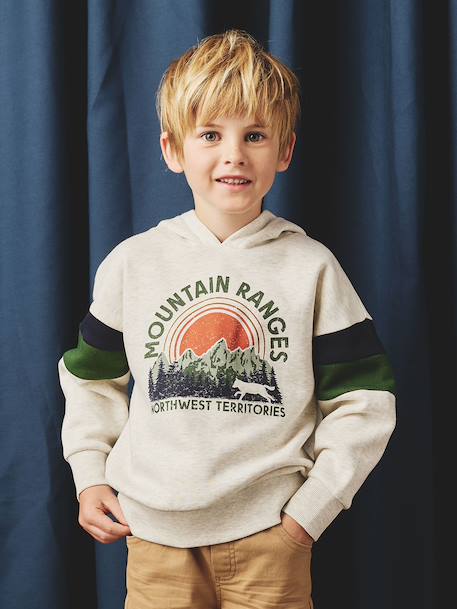 Sweat garçon à capuche motif placé blanc+blanc chiné+marine+noix de pécan+vert sauge - vertbaudet enfant 