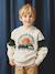 Sweat garçon à capuche motif placé blanc+blanc chiné+marine+noix de pécan+vert sauge - vertbaudet enfant 