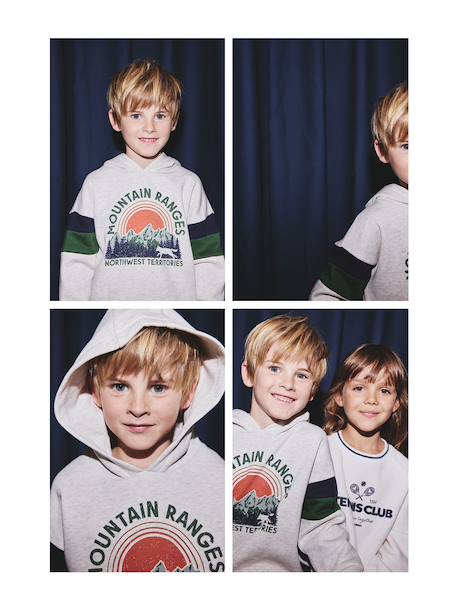 Sweat garçon à capuche motif placé blanc+blanc chiné+marine+noix de pécan+vert sauge - vertbaudet enfant 