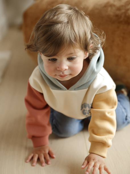 Hooded sweatshirt + jeans set for babies multicoloured - vertbaudet enfant 