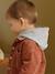 Striped Hooded Top for Baby Boys crystal blue+sandy beige+tomato red - vertbaudet enfant 