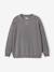 Pack of 2 Plain Long-Sleeved Sweatshirts for Boys, JONEN caramel - vertbaudet enfant 