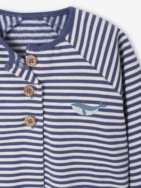 Ensemble naissance molletonné gilet + pantalon bleu+écru - vertbaudet enfant 