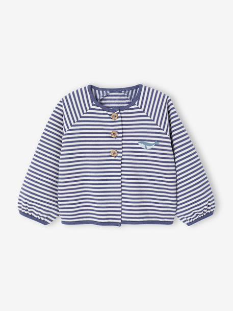 Ensemble naissance molletonné gilet + pantalon bleu+écru - vertbaudet enfant 