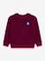 PETIT BATEAU children's sweatshirt red - vertbaudet enfant 