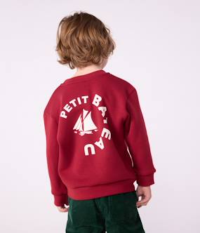 Boys-PETIT BATEAU children's sweatshirt