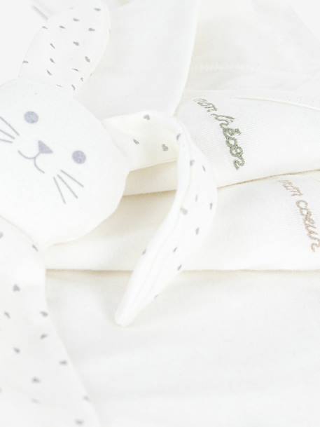 Set of 3 Embroidered Cotton Bodysuits & Rabbit Comforter for Newborns, PETIT BATEAU ecru - vertbaudet enfant 