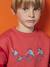 Sweat Skateboard garçon rouge - vertbaudet enfant 