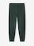 Pack of 2 Jonen Pyjamas for Boys fir green - vertbaudet enfant 