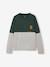 Pack of 2 Jonen Pyjamas for Boys fir green - vertbaudet enfant 