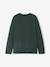 Pack of 2 Jonen Pyjamas for Boys fir green - vertbaudet enfant 