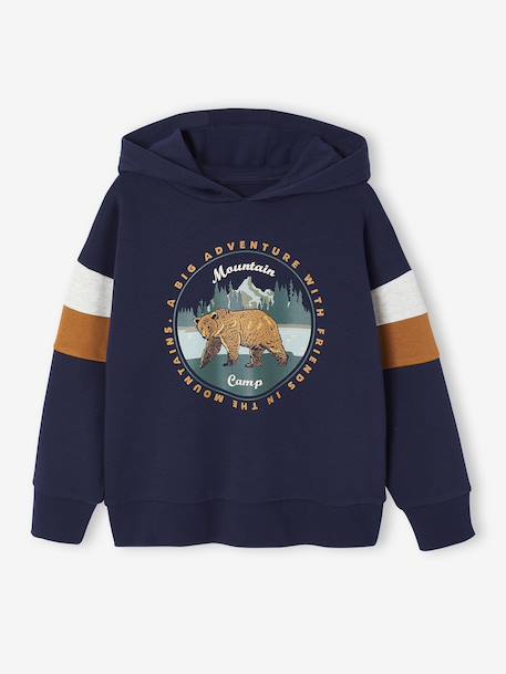 Sweat garçon à capuche motif placé lichen+marine+noix de pécan - vertbaudet enfant 