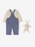 Set for Newborns: Long-Sleeved T-Shirt + Dungarees + Comforter / Soft Toy grey blue - vertbaudet enfant 