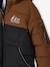 Two-tone Hooded Jacket with Recycled Polyester Padding, for Boys brown+sage green - vertbaudet enfant 
