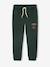 Boys' Harry Potter® sweatshirt + trouser sportswear set in fleece fir green - vertbaudet enfant 