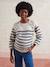 Nautical Style Jumper with Shoulder Openings for Maternity & Nursing marl beige+navy blue - vertbaudet enfant 