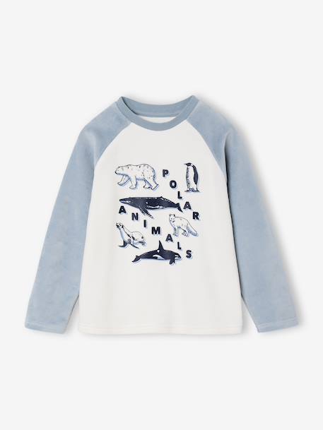 Pack of 2 'Polar Animal' Velour Pyjamas for Boys sky blue - vertbaudet enfant 