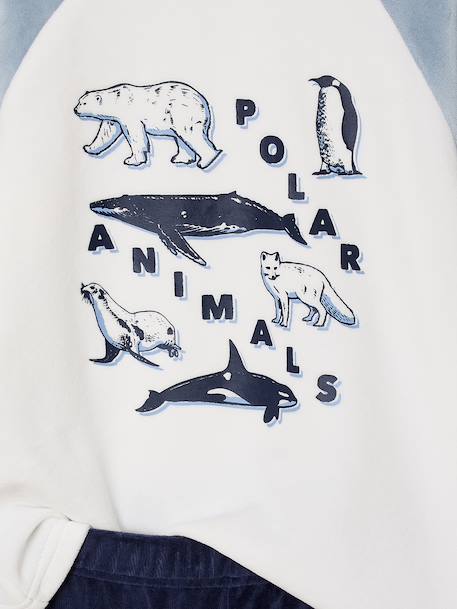 Pack of 2 'Polar Animal' Velour Pyjamas for Boys sky blue - vertbaudet enfant 