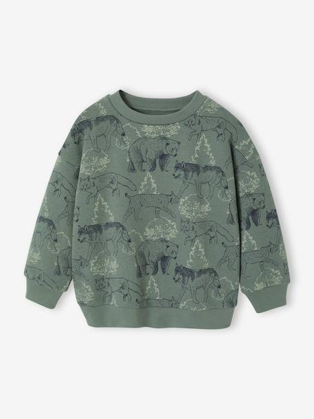 Printed Sweatshirt for Boys marl beige+medium blue+sage green - vertbaudet enfant 