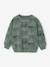 Printed Sweatshirt for Boys marl beige+medium blue+sage green - vertbaudet enfant 