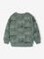 Sweat imprimé garçon beige chiné+bleu moyen+vert sauge - vertbaudet enfant 