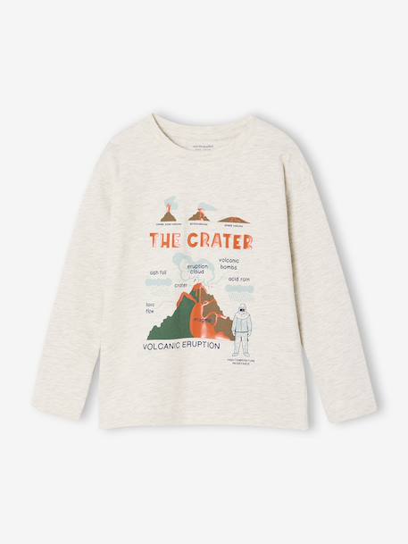 Printed Long-Sleeved T-Shirt with Details in Relief, for Boys marl white+pecan nut - vertbaudet enfant 