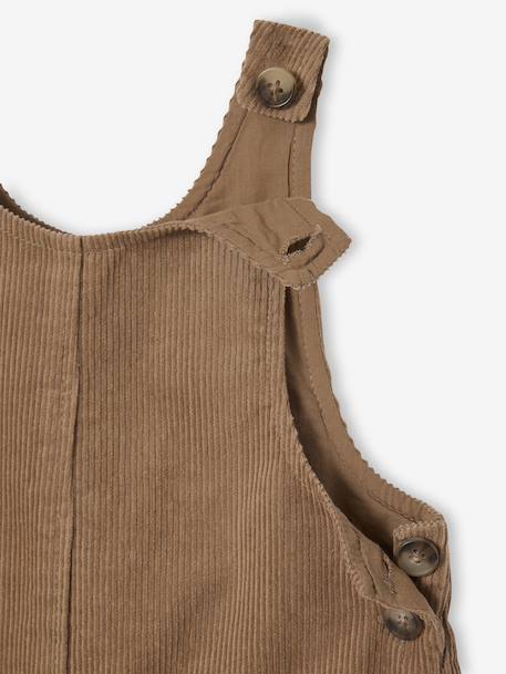 Short Corduroy Dungarees for Babies pecan nut - vertbaudet enfant 