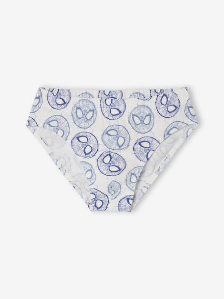 Pack of 5 Spider-Man Briefs for Boys chambray blue - vertbaudet enfant 