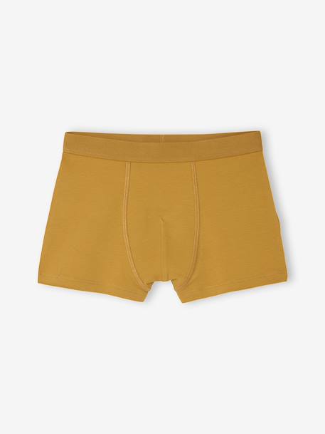 Pack of 5 Plain & Striped Boxer Shorts for Boys multicoloured - vertbaudet enfant 