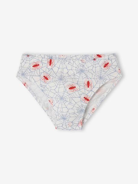 Pack of 5 Spider-Man Briefs for Boys chambray blue - vertbaudet enfant 