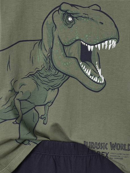 Pyjama bicolore Jurassic World garçon lichen - vertbaudet enfant 