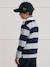 Striped Rugby Polo Shirt in Organic Cotton for Boys, CYRILLUS green+grey - vertbaudet enfant 