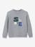 Sweat Skate garçon gris - vertbaudet enfant 