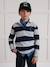 Striped Rugby Polo Shirt in Organic Cotton for Boys, CYRILLUS green+grey - vertbaudet enfant 