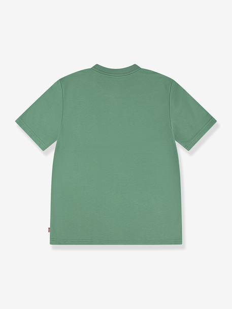 Streamline Monogram T-Shirt, LEVI'S® green - vertbaudet enfant 