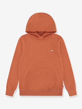 Boys-Mini Batwing Hoodie, LEVI'S® 