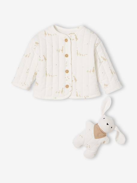 Veste bébé matelassée en velours + doudou coffret cadeau naissance écru - vertbaudet enfant 