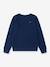 Sweatshirt with mini Crewneck LEVI'S® logo navy blue - vertbaudet enfant 