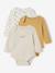 Pack of 3 Bodysuits with Cut-Away Shoulders, for Newborns marl beige - vertbaudet enfant 